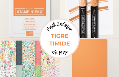 Pack InColor de Mai : Tigre timide !