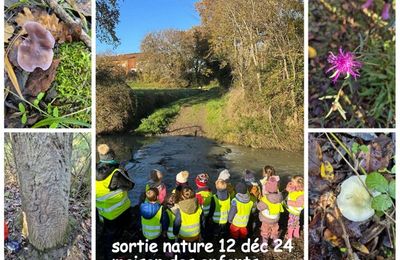 sortie nature décembre maison des enfants 2024