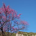 Lundi 14 Avril .Beau:9°7