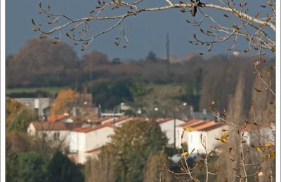 Regard sur la ville 