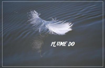 Avoir Foi - Plume Do