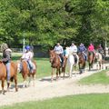 13 mai 2012 : sortie équitation