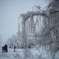 Neige en abondance !