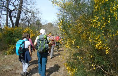 10 avril : Lège - 20 km