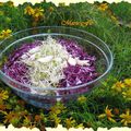 Salade de choux rouge et sa vinaigrette de framboise