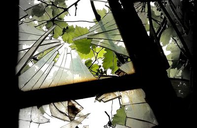 CARTON D’INVITATION