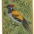 A yellow-backed woodpecker, attributed to Mansur, Mughal, circa 1585-90