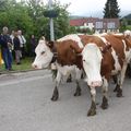 Kirchberg -La 26ème transhumance