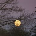 Meung-sur-Loire-Un-clair-de-lune