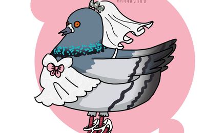 Mariage et Business ou comment se ruiner en étant pris pour un pigeon.