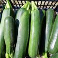 Petit rajout de début de semaine : les courgettes !