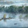 La Loire, photos d'un fleuve dans la brume !