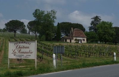 WE vadrouille, St Emilion - Bergerac