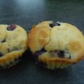 Muffins au yaourt et myrtille