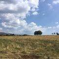 Cantal nature et architecture 