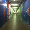 peintures dans les couloirs souterrains de la fac