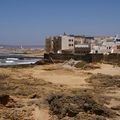 maisons blanches et volets bleus d'Essaouira