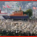 Vedette SNSM "Président Charles Lemeur" au Havre