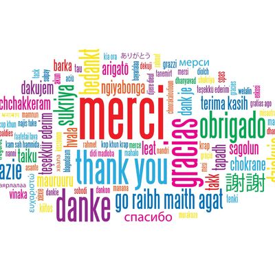 Tournoi 2016 - Le palmarès