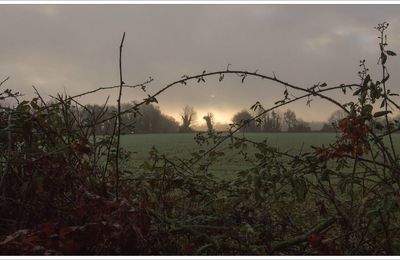 Laissons entrer le soleil ....