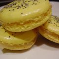 Macarons citron-pavot.Inventaire #14.