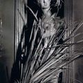 Brassaï (Gyula Halasz, dit), Nymphe pour une vitrine de Balenciaga, avenue George-V. Paille de blé et épis , automne 1957