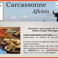 CARCASSONNE - présentation des cartels 2019