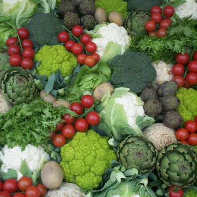 11 au 21 juin 2013 : Concours d’étalages de fruits et légumes organisé en Ille et Vilaine par le Ctifl sous le Haut Patronage du