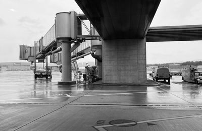 Un été au pied des Alpes - La tête dans les nuages