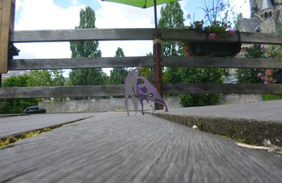 L'été sur les quais à Metz, un 14 juillet