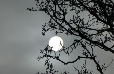 LES MATINS DE JANVIER...