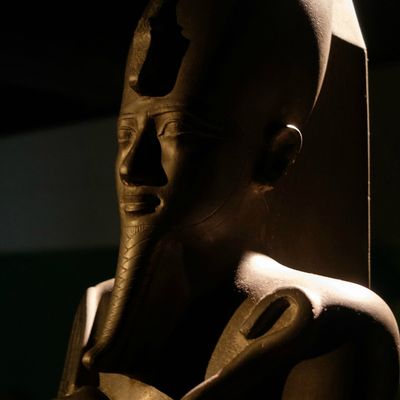 L'Egypte à Bruxelles et Paris!