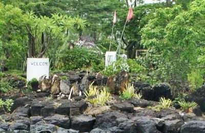 Île d'Ambre à l'île Maurice (1/2) - Recette : Cari de guêpes