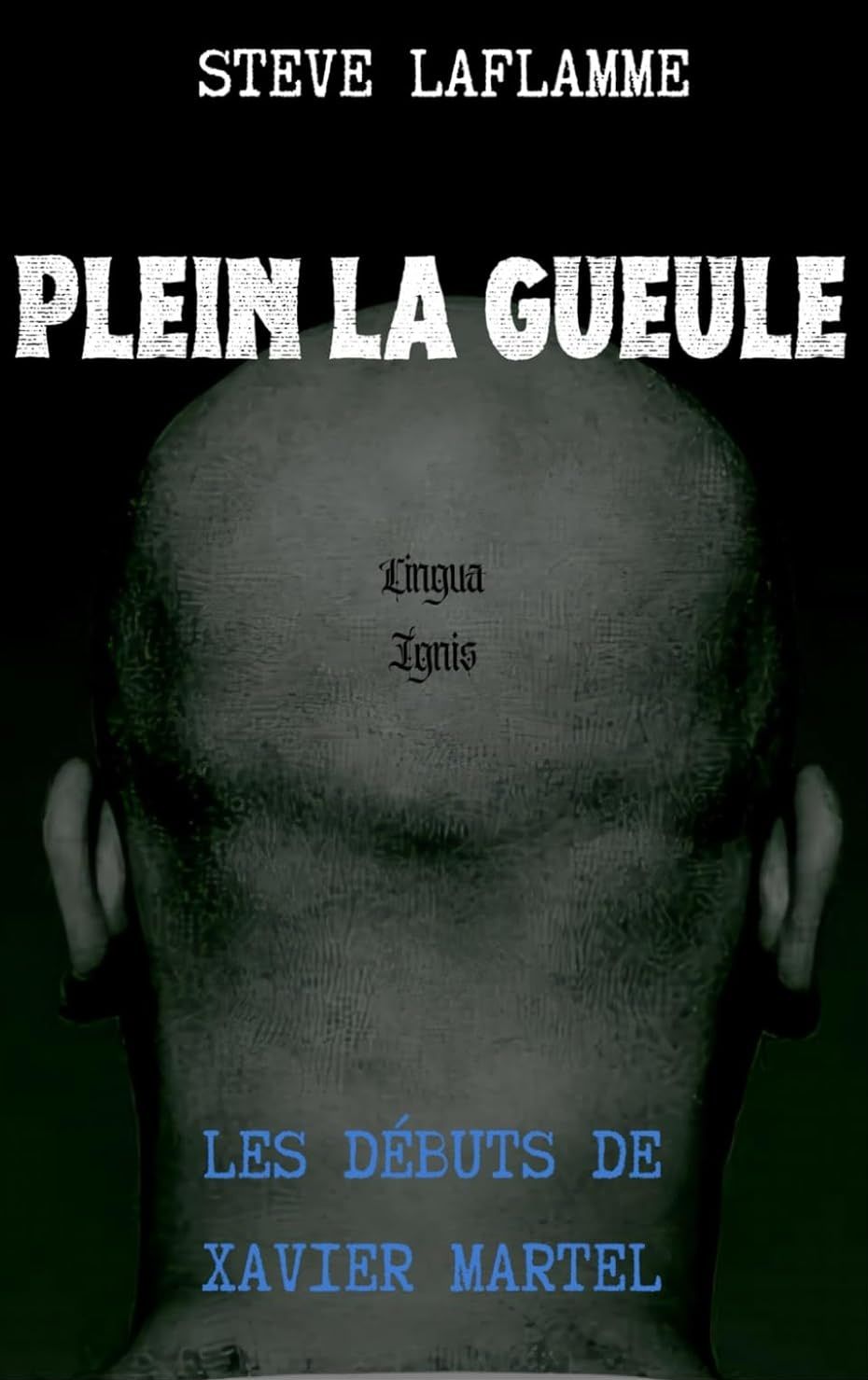 Plein la gueule - steve laflamme
