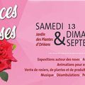 Nuances de roses au jardin des plantes d'Orléans