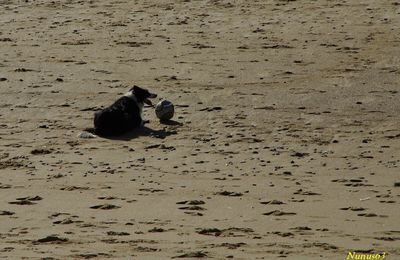 Jeux de plage