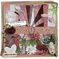 Rosa Di Natura