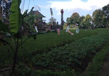 Ubud