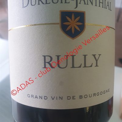 Cépage Pinot Noir de France et d'ailleurs