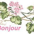 Originale la jardinière