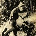 les vintages estivaux du samedi: la belle et la bête