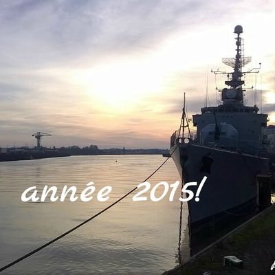 Bonne année 2015!