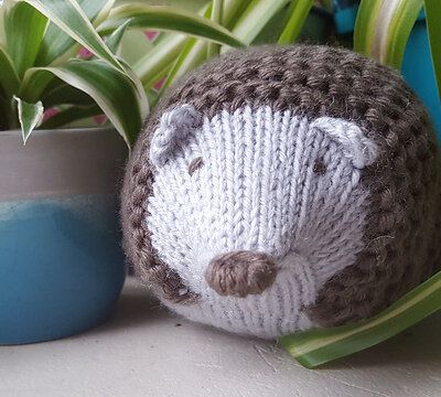 Hérissons en tricot