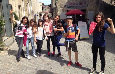 Carcassonne 