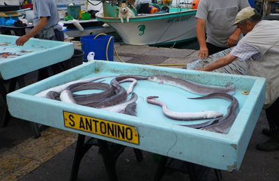 Soupe de poisson au congres en direct du Vieux Port