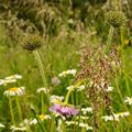 Un bouquet sous la pluie