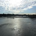 Photo de la Garonne à Toulouse, vue du pont des Catalans.