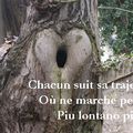 chacun suit sa trajectoire