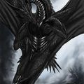 le dragon noir