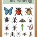 Un nouvel outil pour les enseignants: Book creator